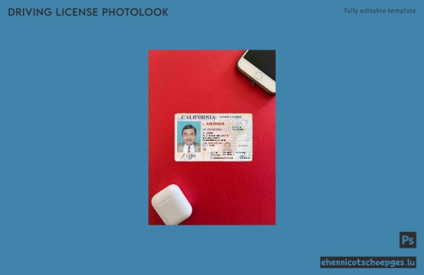 Beispielvorschau für das Foto des Führerscheins in den USA, Kalifornien